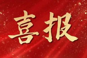 雀跃欢呼 | mk体育(MKsports集团)股份公司集团荣膺佬麻雀“最佳战略合作伙伴”